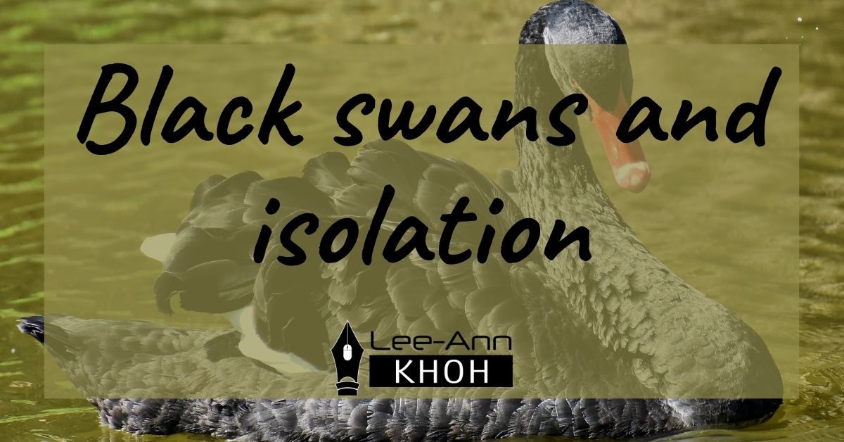 Text reads: Black swan and isolation. Background contains a black swan on water.