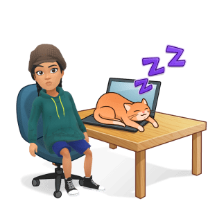 Cartoon avatar of Lee-Ann, wearing a green hoodie, brown cap, blue shorts and black sneakers, looking confused while an orange cat sleeps on her laptop.